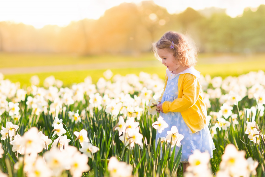 Spring into Action: Why Now is the Perfect Time to Book Your Property Valuation